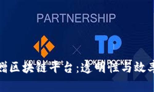 深入探讨捐赠区块链平台：透明性与效率的完美结合