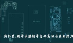 : 新红星：揭开区块链平台的真相与未来潜力