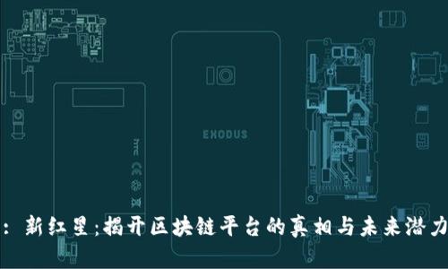: 新红星：揭开区块链平台的真相与未来潜力