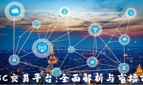 
区块链SC交易平台：全面解析与市场前景分析