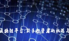 散户投资区块链平台：新手投资者的机遇与风险