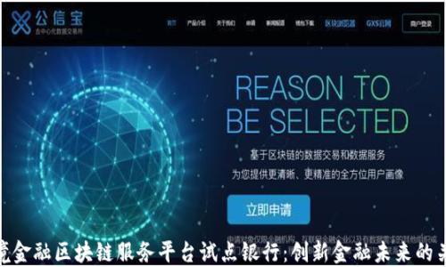 
跨境金融区块链服务平台试点银行：创新金融未来的关键
