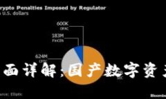 : imToken钱包全面详解：国产数字资产管理工具的