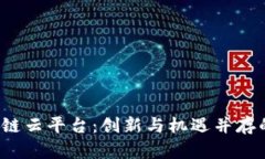  探索亚马逊区块链云平台：创新与机遇并存的数