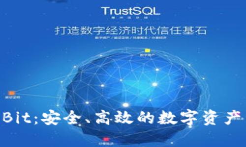 钱包协议IM Bit：安全、高效的数字资产管理解决方案