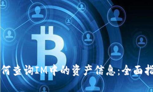 如何查询IM中的资产信息：全面指南